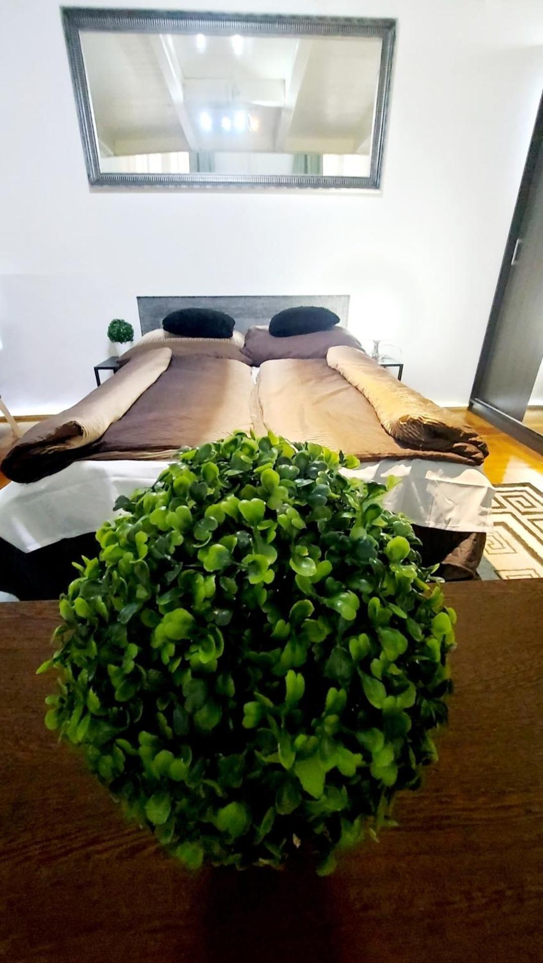 Appartement Center Terrace *
